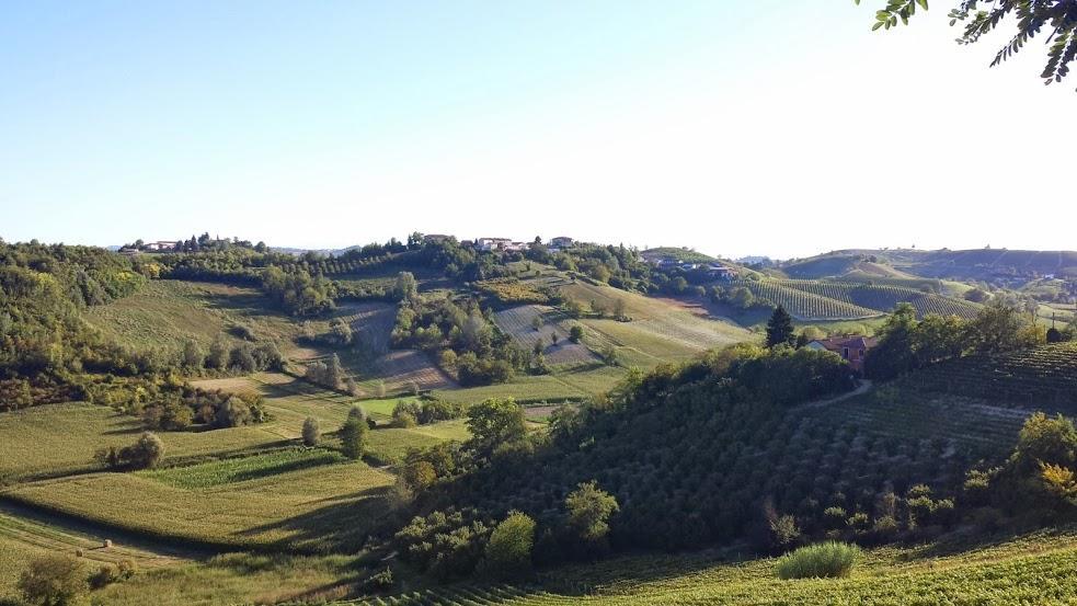 Alta Villa The Countryhouse Adults Only Boutique Bnb Vigliano d'Asti Buitenkant foto